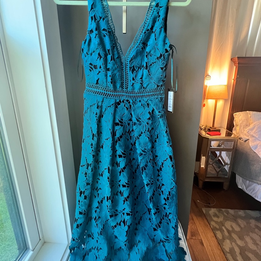 NWT gorgeous lace overlay dress